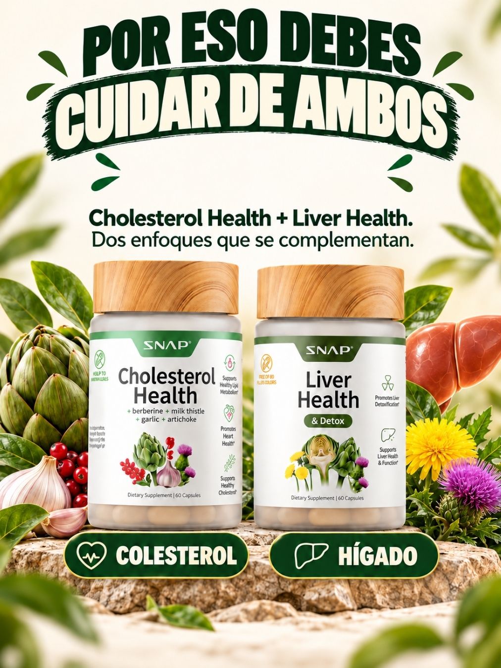 COMBO SALUD HÍGADO Y COLESTEROL